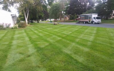 Worry-Free Year-Round Property Maintenance: Protecting Your Minnesota Landscape