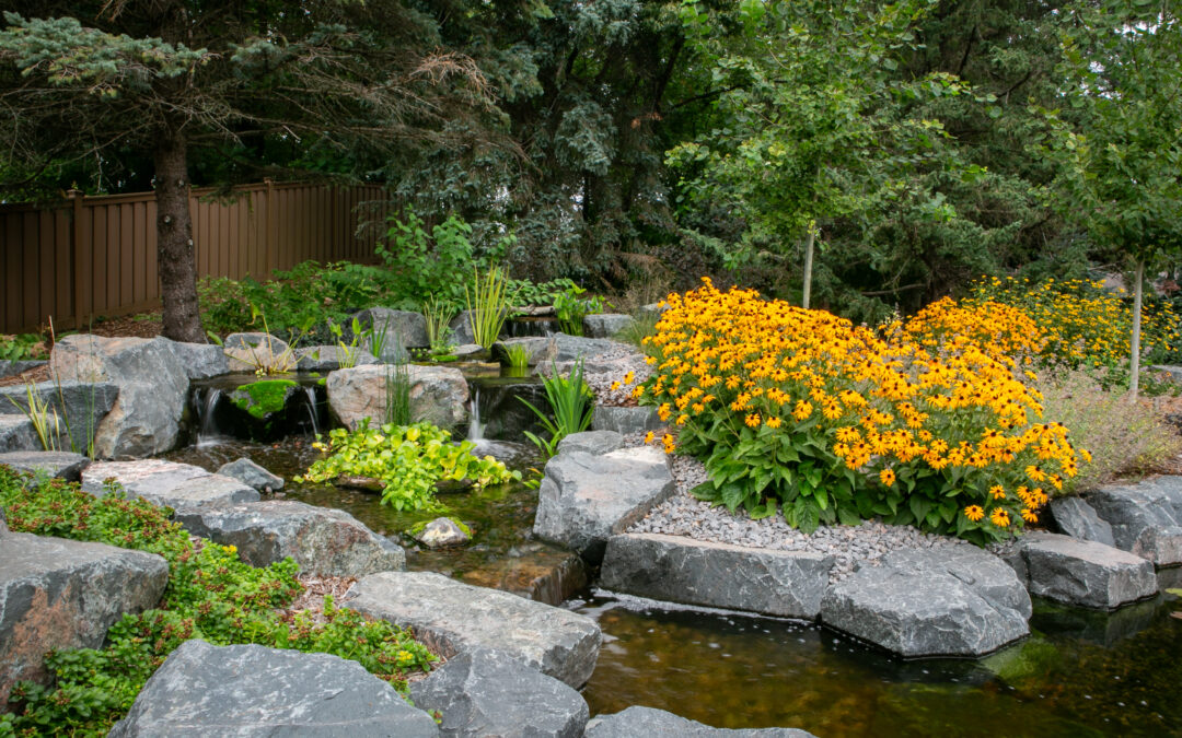 The Bloomington, MN Homeowner’s Guide to Native Gardening