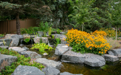 The Bloomington, MN Homeowner’s Guide to Native Gardening