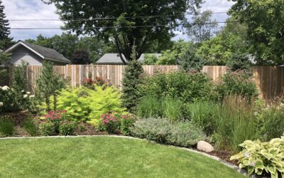 A True Four-Season Partner: Why Urban Landworks is Your Year-Round Property Specialist