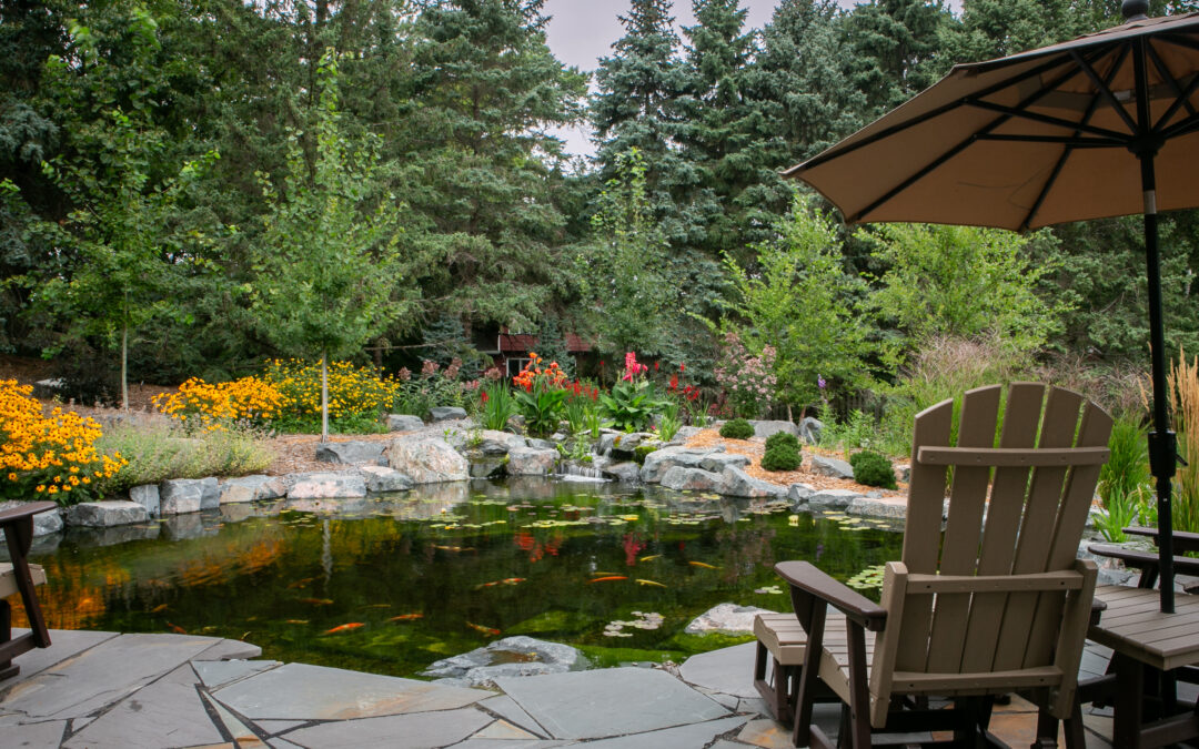Designing & Installing An Aquascape Style Koi Pond