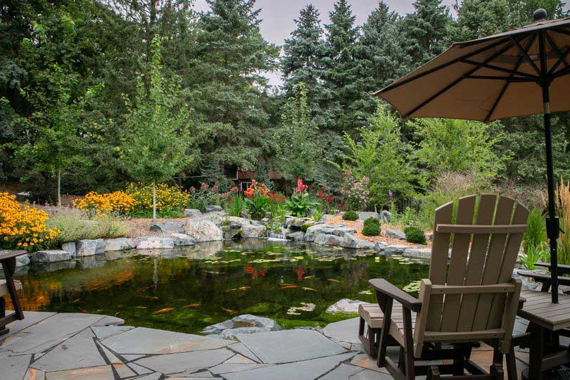 386313678_791553872980868_1237937323520746462_n Pond and installation