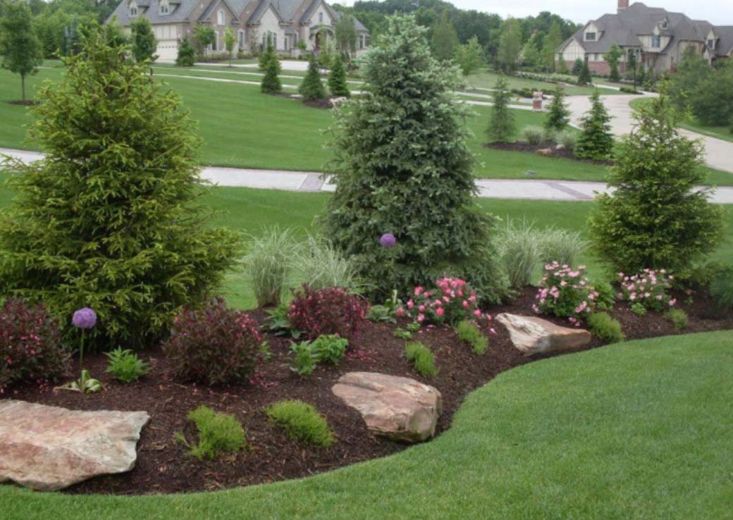 Screenshot tree and shrub care, Lakeville